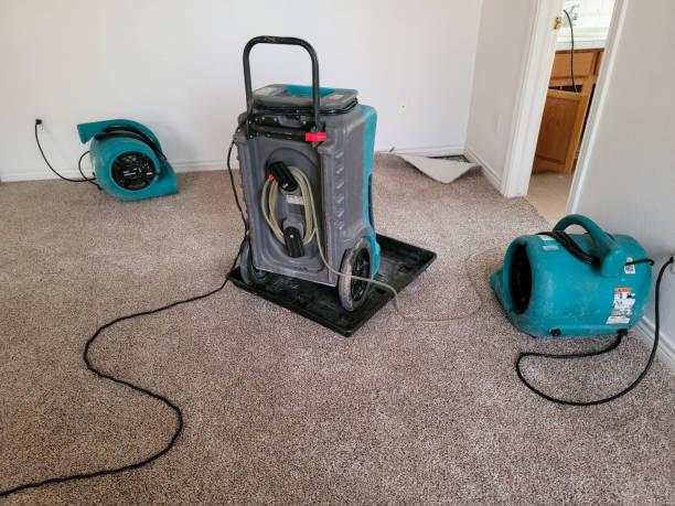 Best Water damage restoration near me  in Bellwood, VA