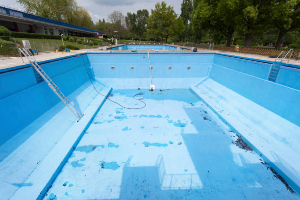 Best Mold removal after water damage  in Bellwood, VA