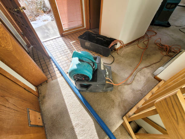 Best Basement water damage restoration  in Bellwood, VA