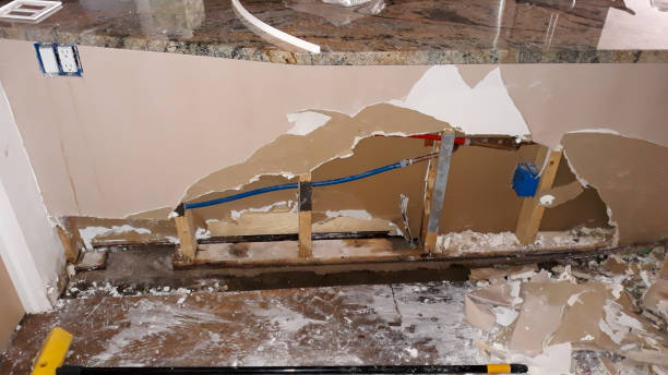 Best Local water damage restoration  in Bellwood, VA
