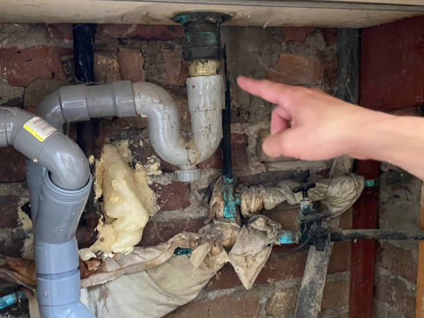 Best Flooded house restoration  in Bellwood, VA