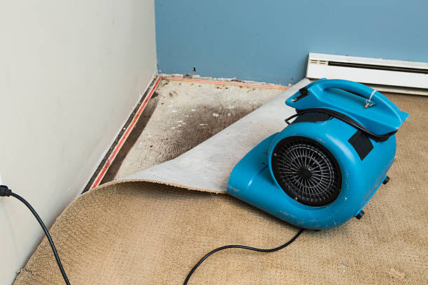 Best Commercial water damage restoration  in Bellwood, VA